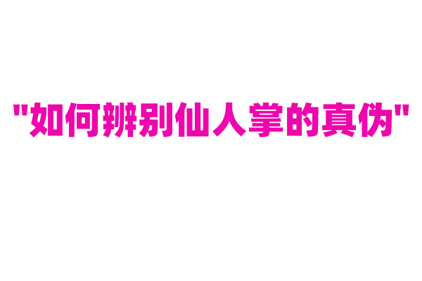 "如何辨别仙人掌的真伪"